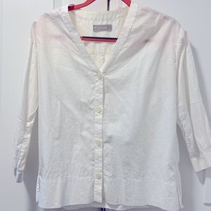 Everlane V-Neck Poplin Button Blouse